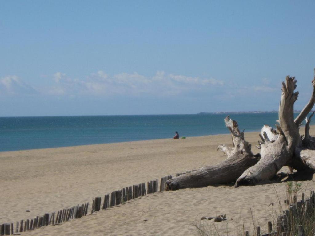 L'Etoile De Mer Sete Bagian luar foto